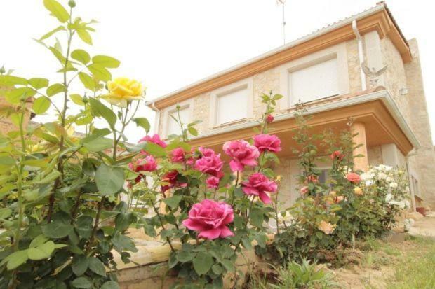 Ferienhaus Ribera Del Duero *